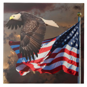 EAGLE AND FLAG TILE
