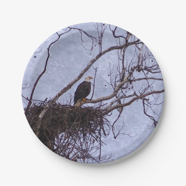 Eagle And Nest Painterly Paper Plate (Front)