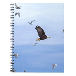 Eagle and Seagulls Flying Notebook