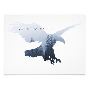 Eagle Animal Forest Wild Nature World Earth Free Photo Print