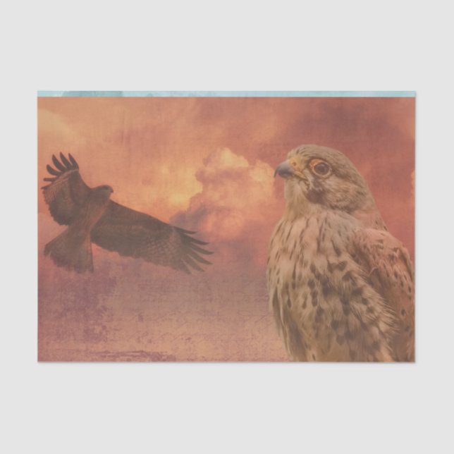 Eagle Artwork Decoupage Tissue Paper (Front)