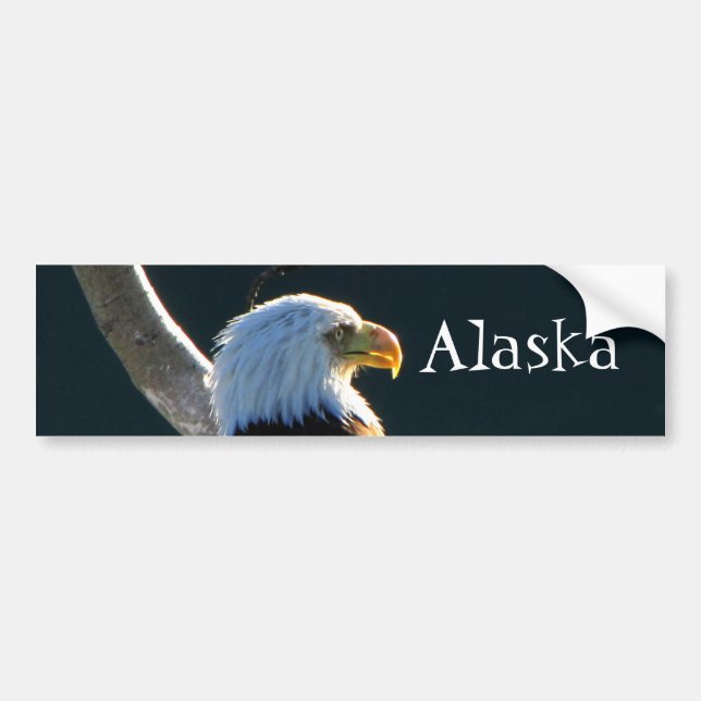 Eagle at Attention; Alaska Bumper Sticker (Front)