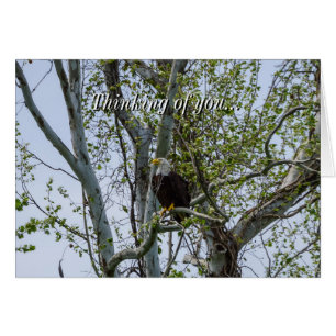 Eagle Attention À Penser À Votre Carte
