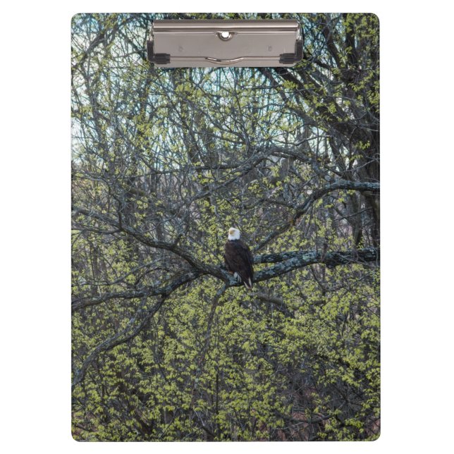 Eagle Awareness Clipboard (Front)