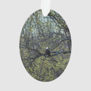Eagle Awareness Ornament