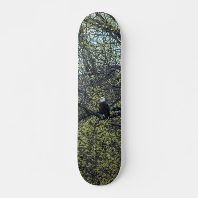 Eagle Awareness Skateboard (Front)
