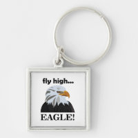 Eagle Bald Eagle Fly High Eagle