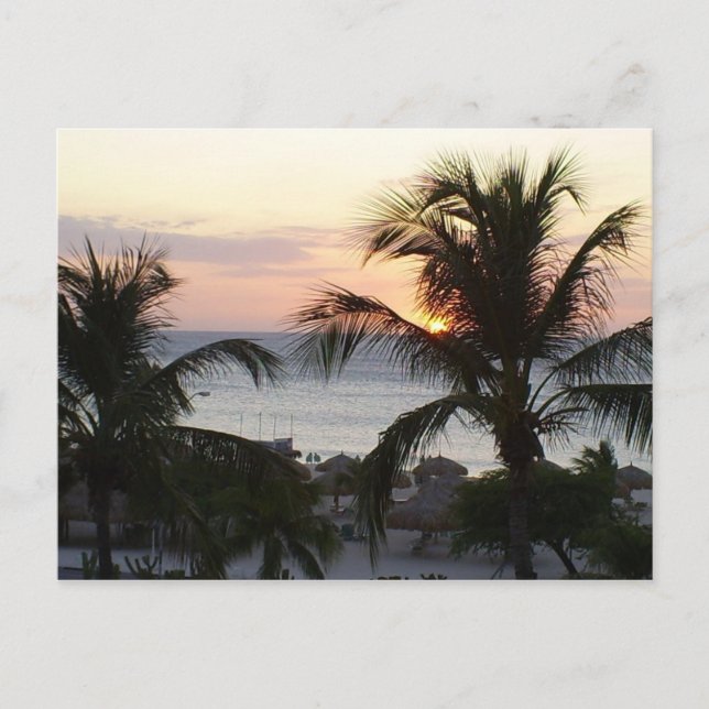 Eagle Beach Aruba Sunset Postcard (Front)