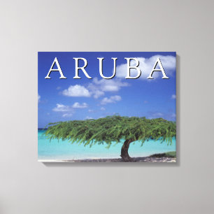 Eagle Beach   Caribbean, Aruba Canvas Print