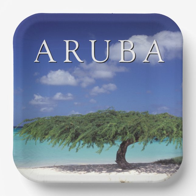 Eagle Beach | Caribbean, Aruba Paper Plate (Front)