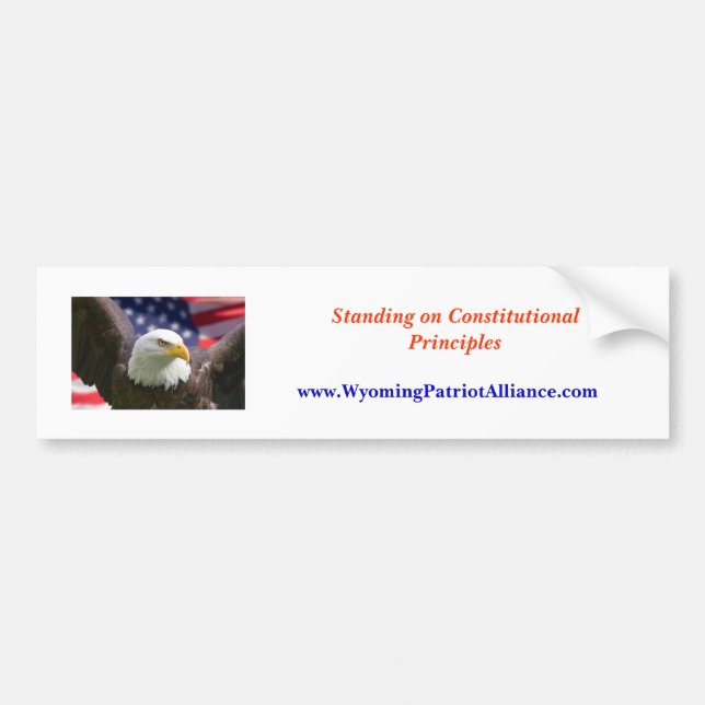 eagle beginning best, Standing on Constitutiona... Bumper Sticker (Front)