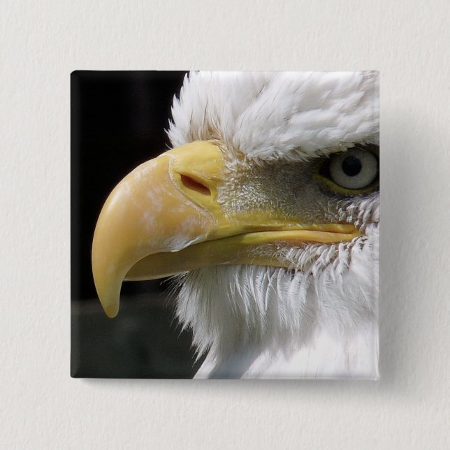 EAGLE BIRD OF PREY  2 INCH SQUARE BUTTON (Front)