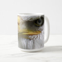 EAGLE BIRD OF PREY