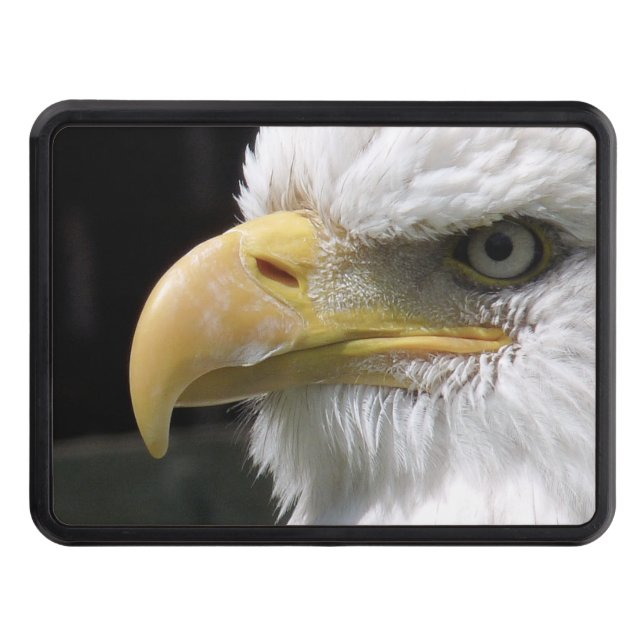 EAGLE BIRD OF PREY  TRAILER HITCH COVER (Front)