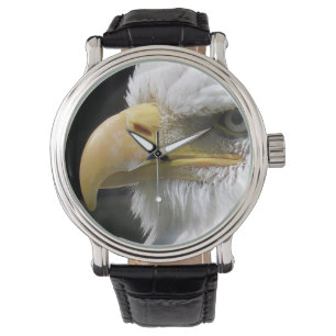 EAGLE BIRD OF PREY WATCH