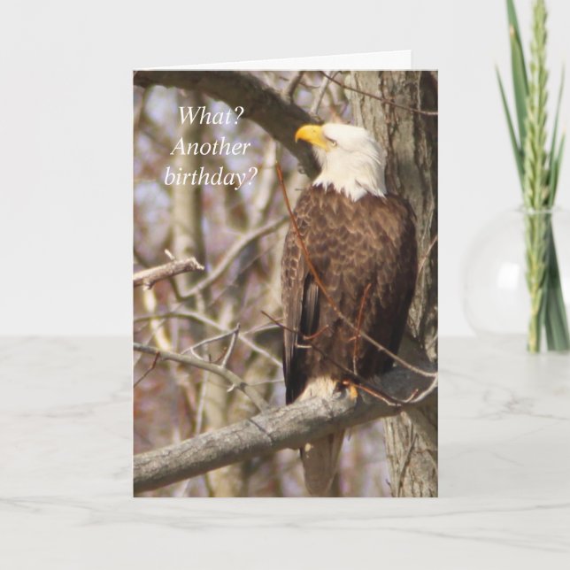 Eagle Birthday card (Front)