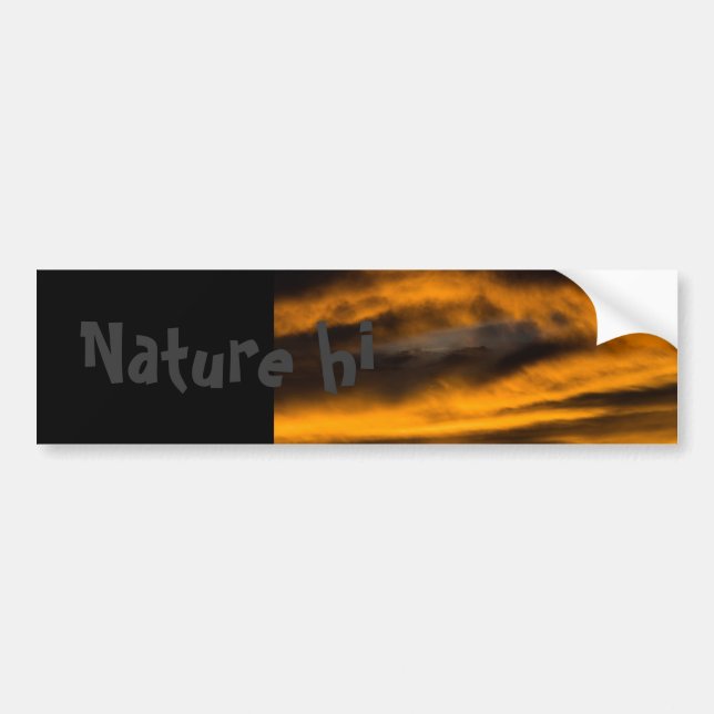 eagle burnout bumper sticker (Front)