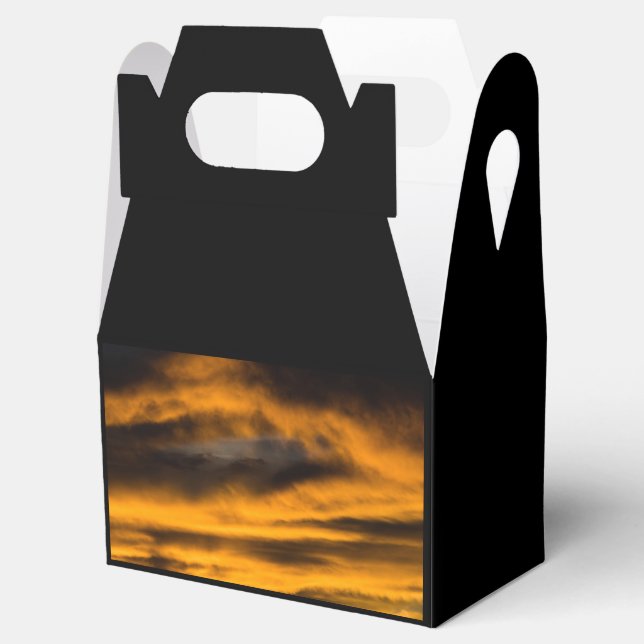 eagle burnout favor box (Opened)