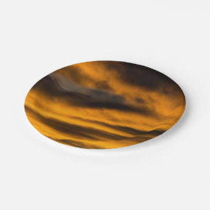 eagle burnout paper plate
