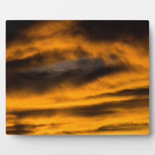 eagle burnout plaque