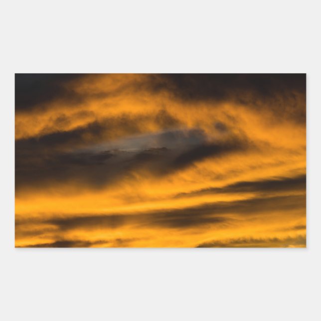 eagle burnout sticker (Front)