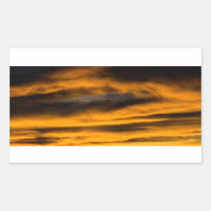 eagle burnout sticker