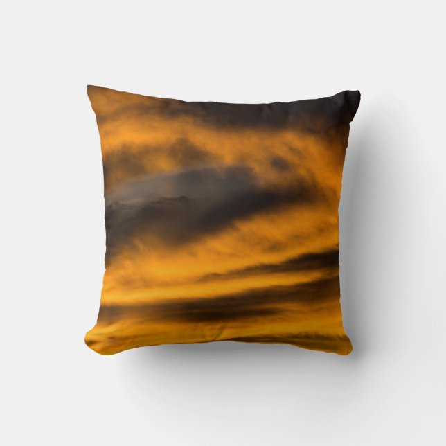 eagle burnout throw pillow (Front)