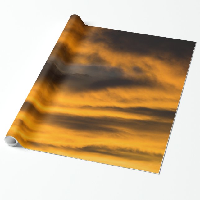 eagle burnout wrapping paper (Unrolled)