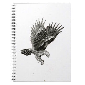                                  Eagle by Light Notebook
