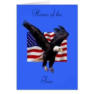 Eagle chauve