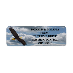 EAGLE CHAUVE