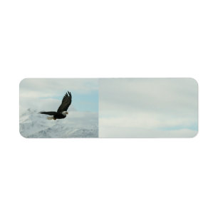 Eagle chauve et montagnes