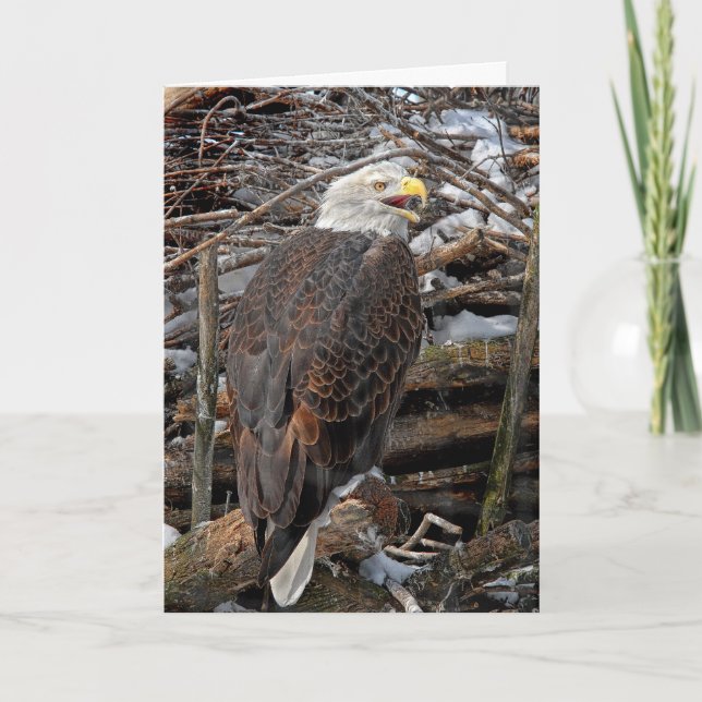 Eagle chauve par la carte de vacances de nid de (Devant)