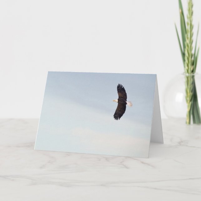 Eagle chauve pilotant la carte (Devant)