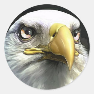 EAGLE CLASSIC ROUND STICKER