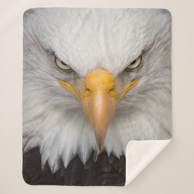Eagle Closeup Sherpa Blanket (Front)