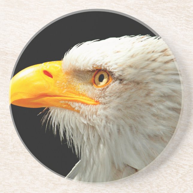 EAGLE COASTER (Front)