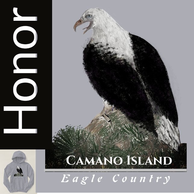 Eagle Country, Personalize City Text  Hoodie (Creator Uploaded)