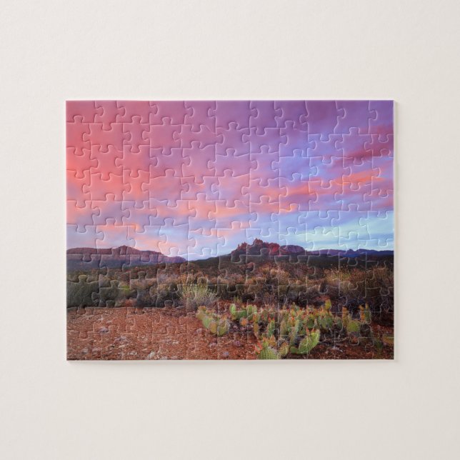 Eagle Crags Zion Cactus Sunset Jigsaw Puzzle (Horizontal)