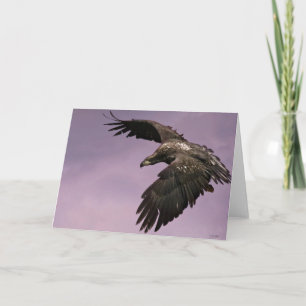 Eagle dans la carte de voeux en vol