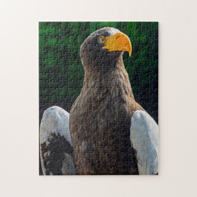 Eagle de mer Stellaire puzzle (Vertical)