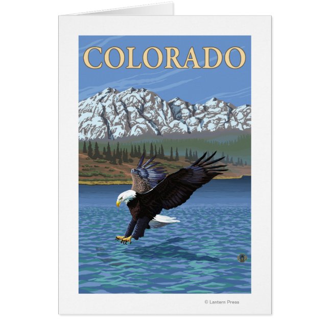 Eagle DivingColorado (Front)