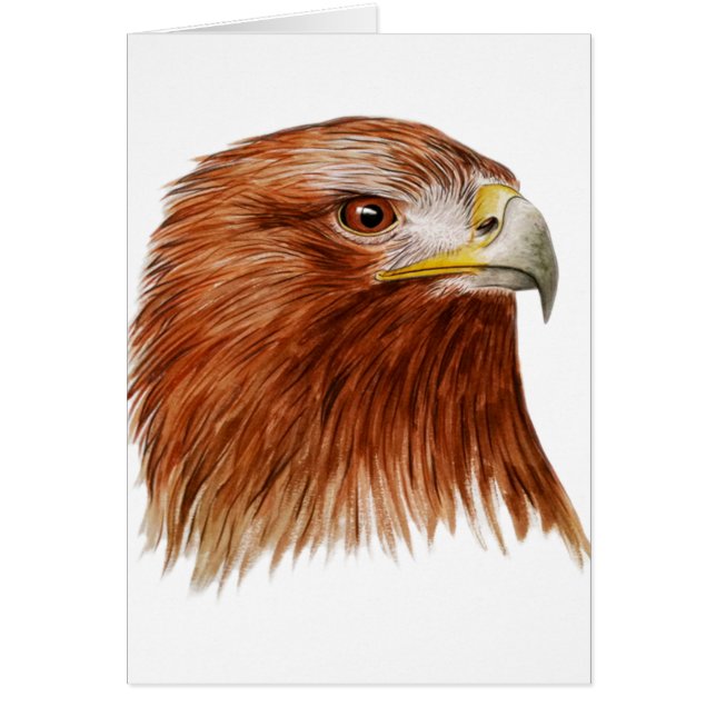 Eagle d'or 2011 (Devant)