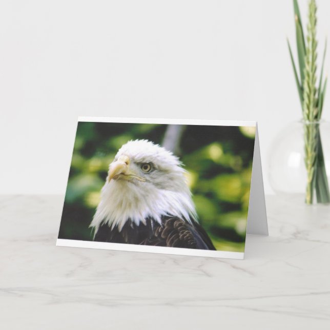 Eagle Eye Card (Front)