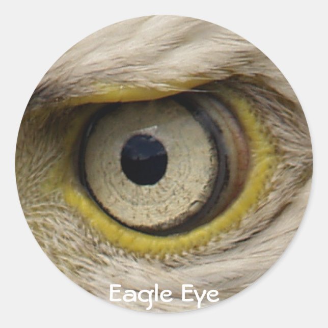 Eagle Eye Gifts Classic Round Sticker (Front)
