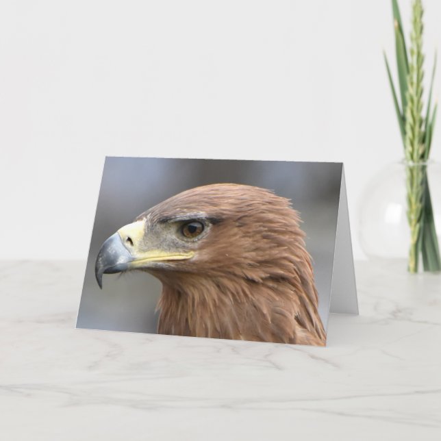 Eagle eye photograph card (Front)