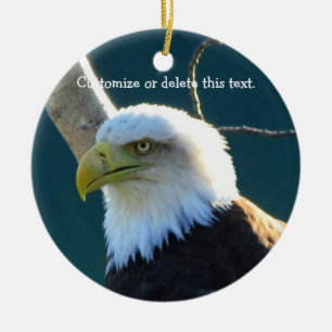 Eagle Eyes; Customizable Ceramic Ornament