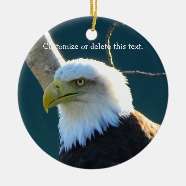 Eagle Eyes; Customizable Ceramic Ornament (Front)