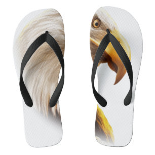 Eagle face flip flops