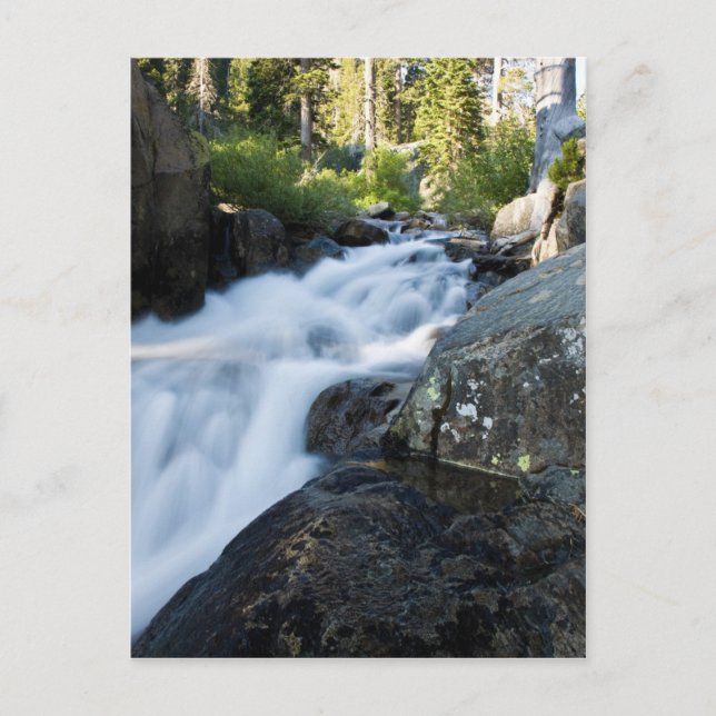 Eagle Fall Postcard (Front)